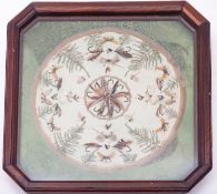 A late 19th century framed display of gut eyed flies,