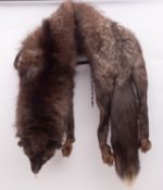 An early 20th century full mink fur stole, maker Dickens & Jones, London, in original card box.