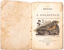 DARTON, W & T (publisher) - History of a Goldfinch, 35 pages + (i)publisher's advert,