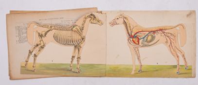 GENERAL STUD BOOK - Containing Pedigrees of Race horses, vol.