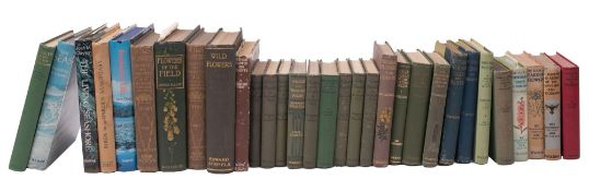 JOY, Norman H, British Beetles, Their Homes and Habits: 31 plates,