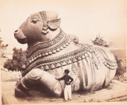 Antiquarian Book Sale