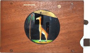 Slide 9,' Mr Jim-Rafe' [tail moves up and down, neck extends] W.C. Hughes, London (7 x 4 3/8 x 3/4