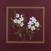 Christine Charlesworth (British, 20th Ce