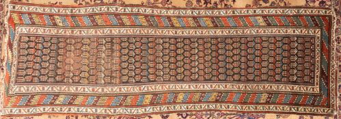 A Caucasian runner, the shaded field wit