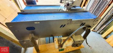 S/S Framed 2-Lane Conveyor, 12