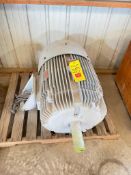 Reliance 100 HP 1,780 RPM Motor - Rigging Fees: $50