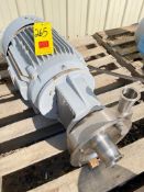 Fristam Centrifugal Pump with Motor and 2.5