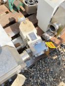 Albin Positive Displacement Pump Head, Size: 220 with 2