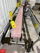 S/S Framed Power Conveyor with Plastic Tabletop Chain, Dimensions = 117