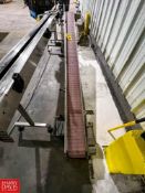 S/S Framed Power Conveyor with Plastic Tabletop Chain, Dimensions = 117