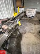 S/S Framed Power Conveyor with Plastic Tabletop Chain and Adjustable S/S Bottle Slot, Dimensions = 1