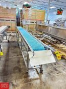 Mobile S/S Framed Conveyor with Belt and Drive, Dimensions = 211
