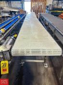 S/S Framed Product Conveyor with Plastic Chain and Drive, Dimensions = 249