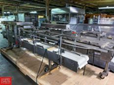 S/S Product Conveyor with Intralox Belt, Dimensions = 161