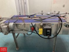 Dual Conveyor, Dimensions = 8' x 4.5' - Rigging Fee: $75