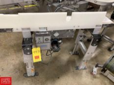 Leeson Conveyor, Dimensions = 4' x 8