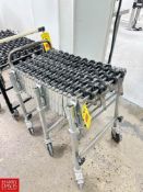 NestaFlex Expandable Conveyor, Model: 226 - Rigging Fee: $35