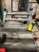 Conveyor, Dimensions = 6' x 2.2' - Rigging Fee: $100