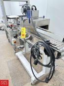 S/S Frame Portable Conveyor, Dimensions = 48