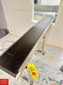 Belt Conveyors: (1) 82