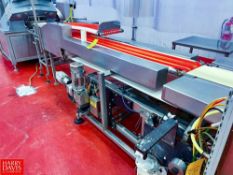 S/S Framed Conveyor with S/S Clad Drive, Conveyor Dimensions = 9' x 9