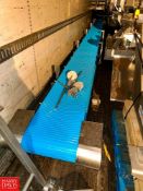 S/S Framed Conveyor with Drives and S/S Chute, Dimensions = 31' x 19