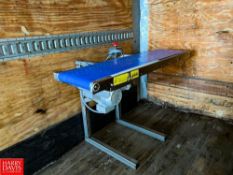S/S Framed Belt Conveyor with Drive and Emergency Shut Off, Dimensions = 4' x 11