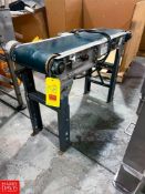 S/S Framed Belt Conveyor with Drive, Dimensions = 44