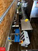 S/S Framed Conveyor, Dimensions = 155