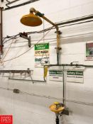Emergency Eye Wash and Shower Station - Rigging Fee: $75