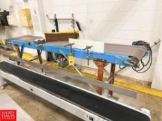 FoxJet Coder with Belt Conveyor and Drive, Dimensions = 10' x 20