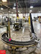 180° Roller, Incline and Overhead Case Conveyor, Dimensions = 10' x 10