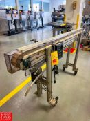 Mobile Plastic Chain Conveyor with Drive and Controls, Dimensions = 6' x 4.5