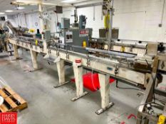 Conveyor with S/S Inline Filler Station Head and Drive, Dimensions = 30' x 6