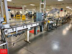 Conveyor with Drive, Horizontal Air Tank and Pneumatics, Dimensions = 40' x 6