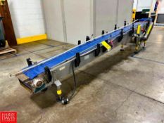 CLE S/S Framed Incline Conveyor with Drive and Controls, Dimensions = 12' x 12