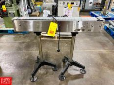 S/S Framed Conveyor with Drive and Conveyor, Dimensions = 40