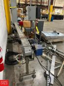 Conveyor with Drive and Controls, Dimensions = 10' x 4.5