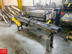 Belt, Dual-Lane and Sections Conveyor with Drives and Controls, Dimensions = 94