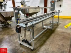 Plastic Chain and Roller Conveyors with Drives and Controls, Dimensions = 12' x 4.5