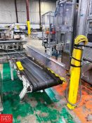 Belt Conveyor with Drive and Emergency Stop, Dimensions = 6' x 18