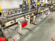 Conveyor with S/S Inline Filler Station Head and Drive, Dimensions = 30' x 6