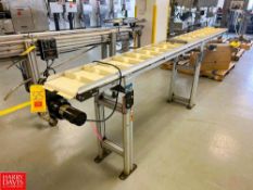 Dorner 2200 Series Paddle Belt Conveyor with Drive, Dimensions = 10' x 11