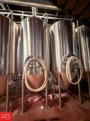 2016 JVNW 20 Barrel Dual Zone Fermenter (Subject to Bulk Bid) - Rigging Fee: $3,500