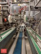 Bortolin Kemo Case Packer with 3-Lane Conveyor, 12-Heads and Controls (Location: Fort Stockton, TX)