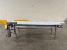 S/S Frame Conveyor with Belt and S/S Drive, 8' Length x 18