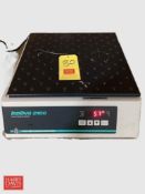 New Brunswick Scientic Innova 2100 Platform Shaker