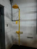Bradley Corporation Emergency Eye Wash and Shower Station - Rigging Fee: $65