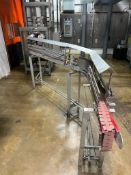 Serpentine S/S Framed Power Conveyor with S/S Hood, Dimensions = 16' x 3.5